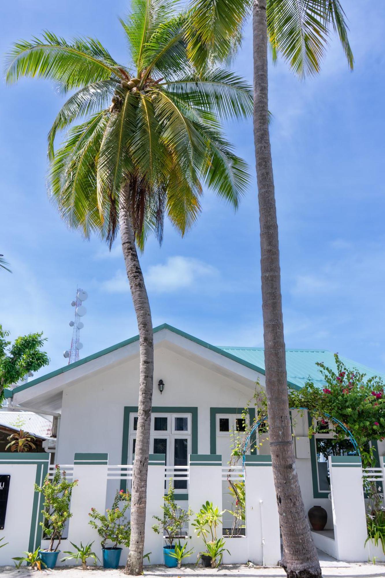 Vaali Maldives Island Escapes & Dive Hotell Felidhu Eksteriør bilde