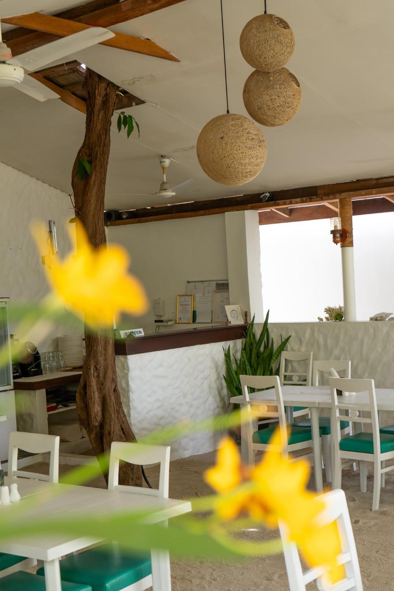 Vaali Maldives Island Escapes & Dive Hotell Felidhu Eksteriør bilde