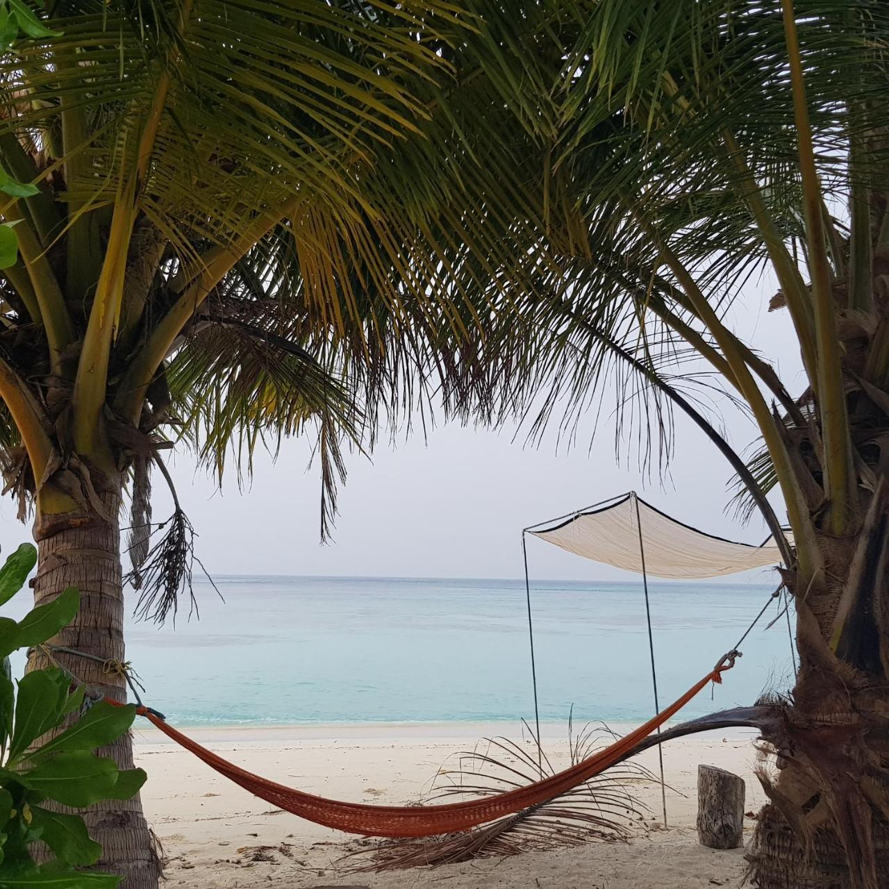 Vaali Maldives Island Escapes & Dive Hotell Felidhu Eksteriør bilde